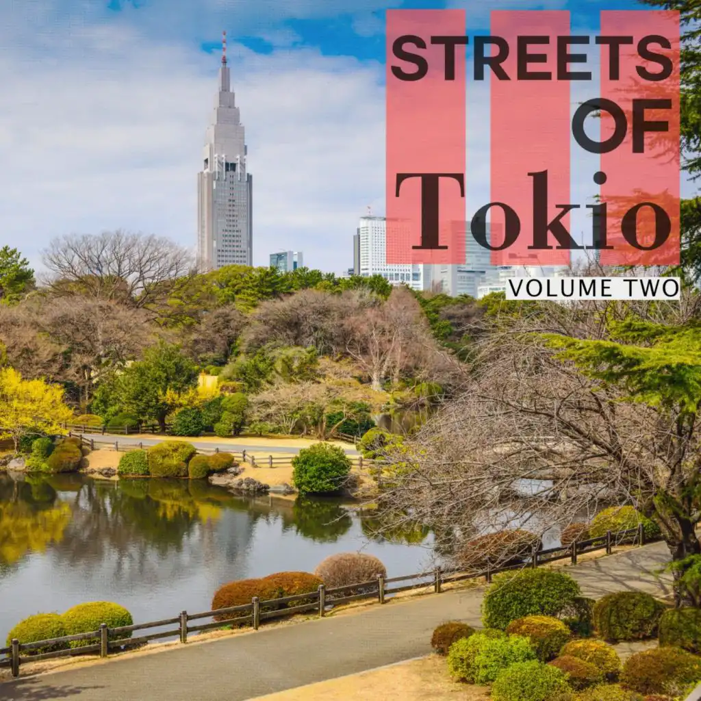 Streets Of - Tokio, Vol. 2