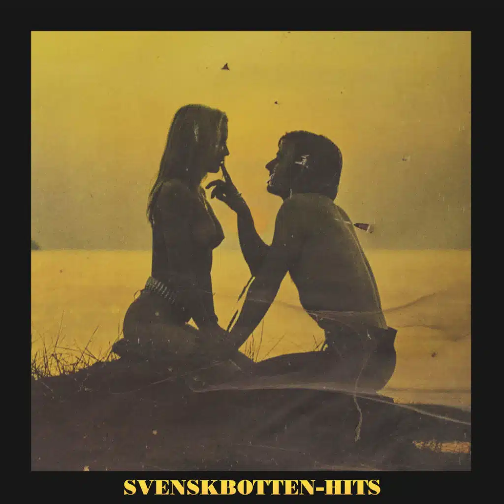 Svenskbotten-Hits