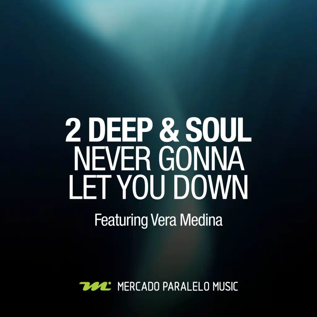Never Gonna Let You Down (Remixes)