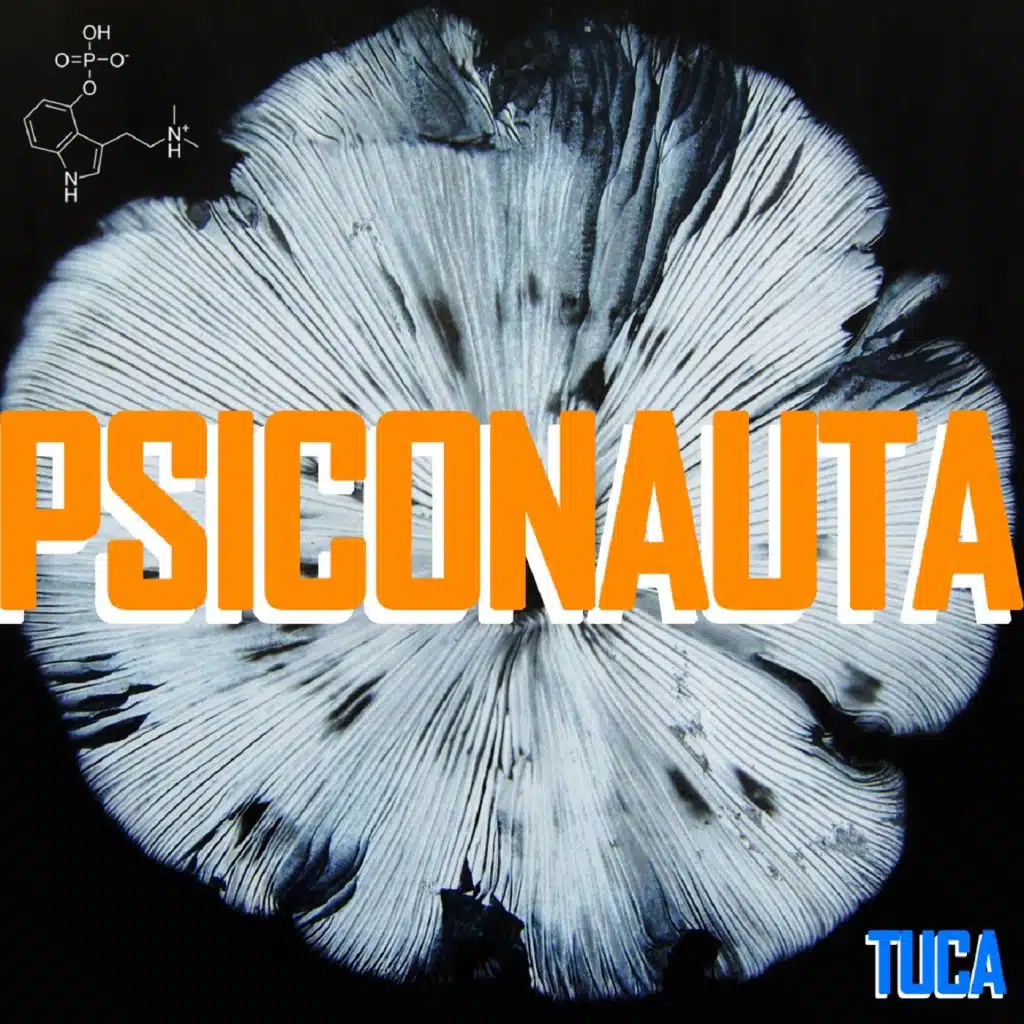 Psiconauta (feat. Ana Mo)