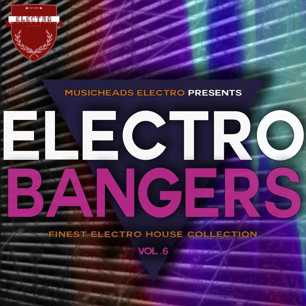 Electro Bangers, Vol. 6