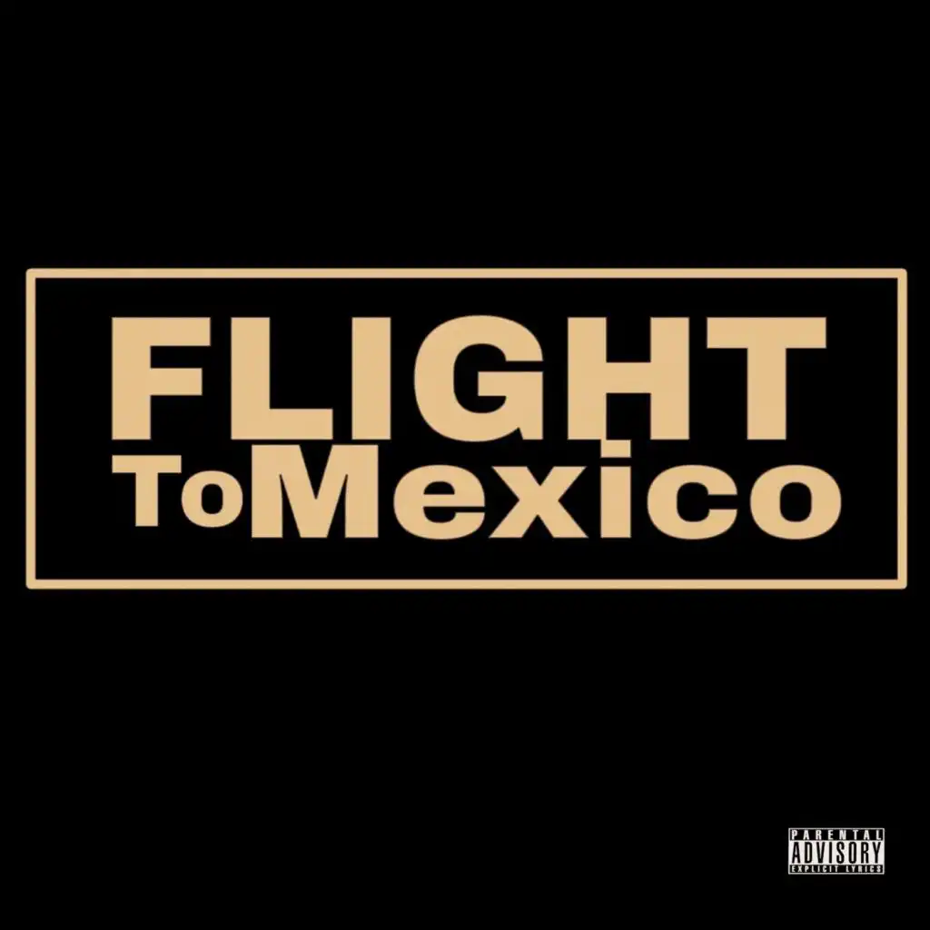 Flight to Mexico