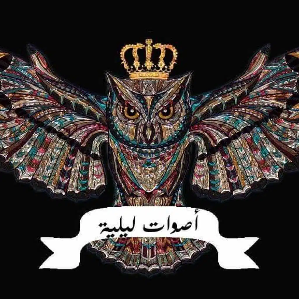 أصوات ليلية