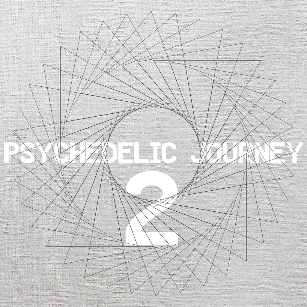 Psychedelic Journey 2