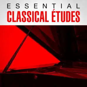 Etudes Symphoniques En Forme De Variations, Op. 13: Var. IX. Presto Possibile
