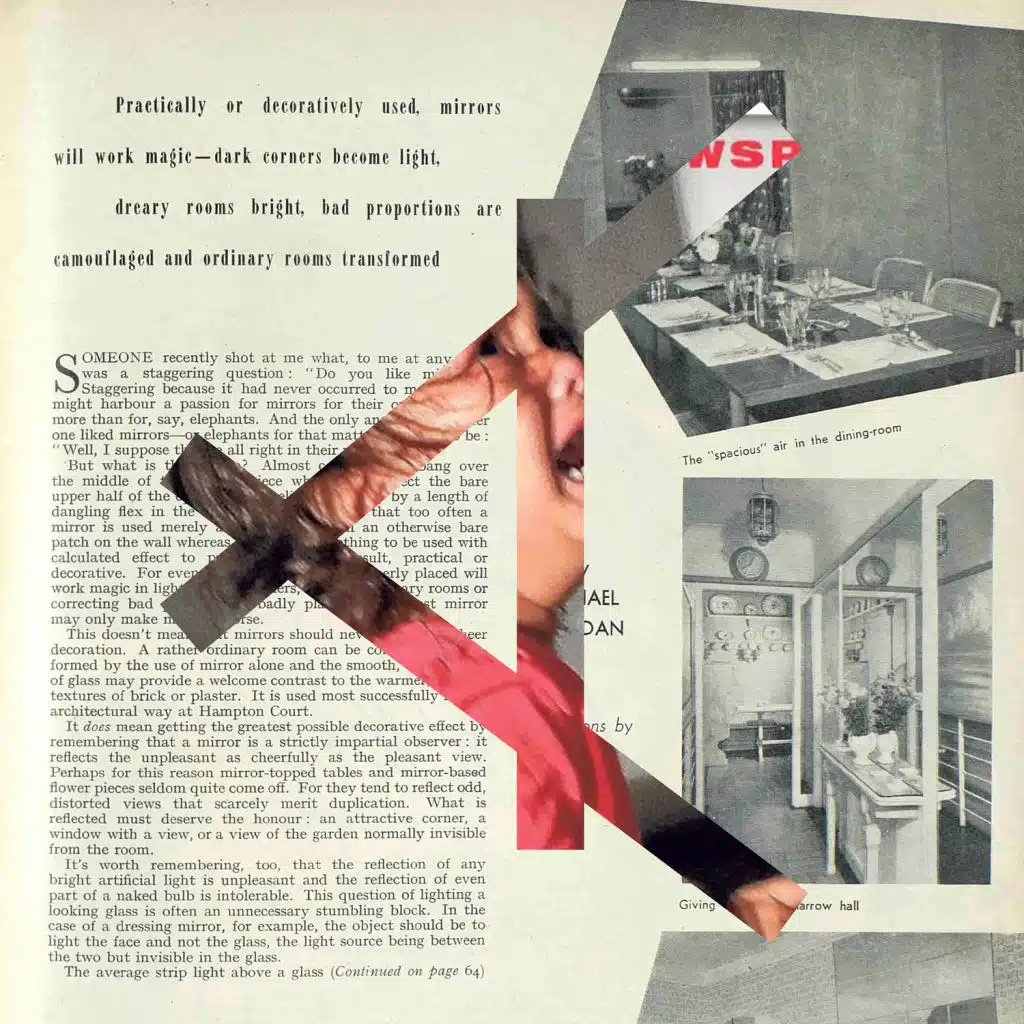 A Snowflake In Winter