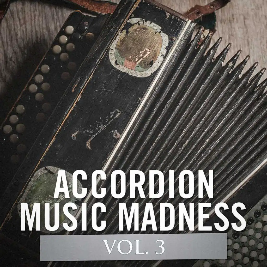 Accordéon Académy, The Accordion All-Stars, Musique d'accordéon