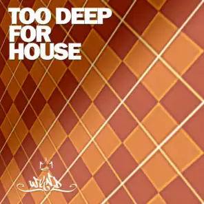 Too Deep for House, Vol. 2