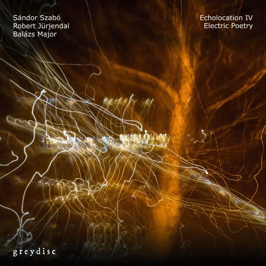 Echolocation IV