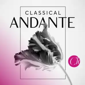 Classical Andante