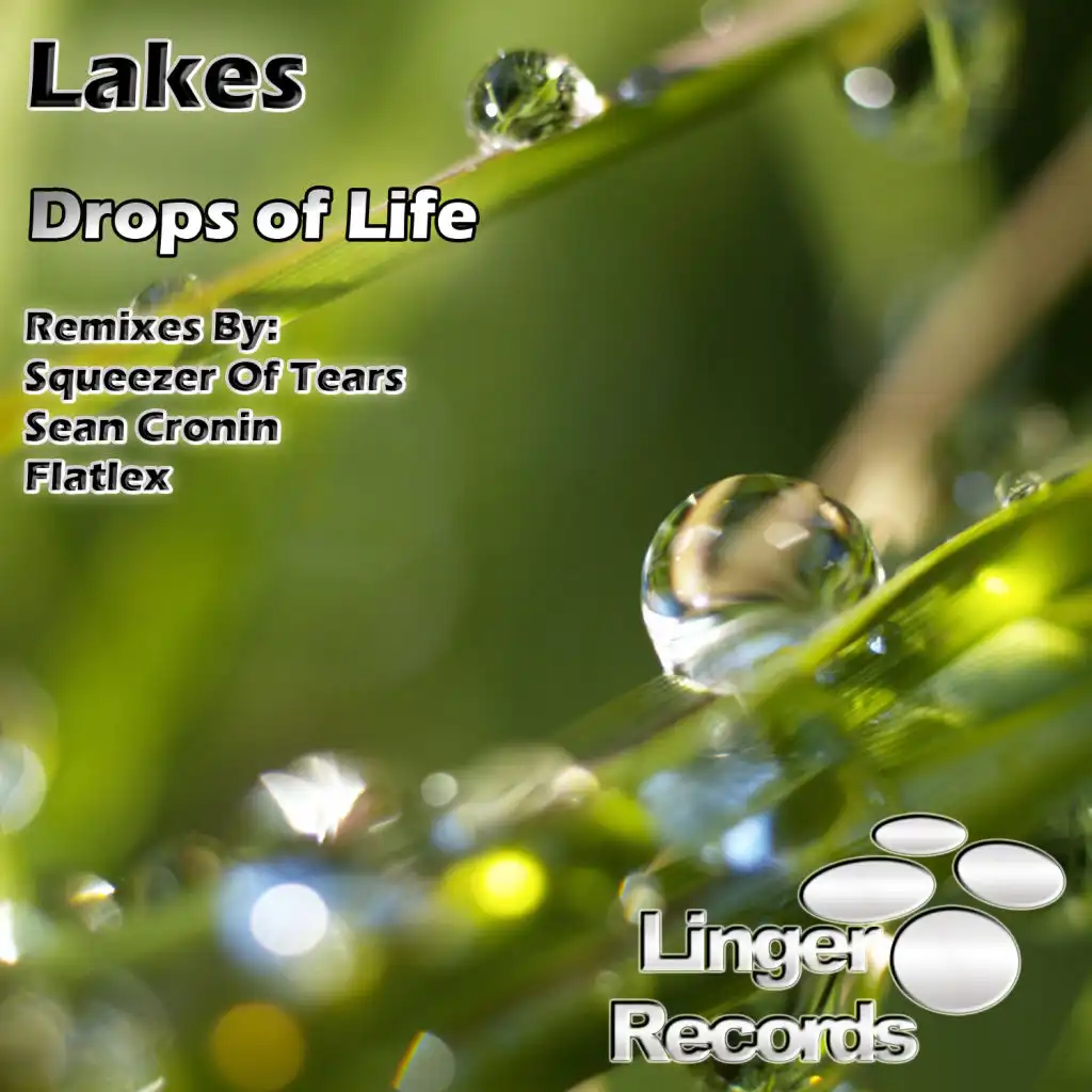 Drops of Life (Flatlex Remix)