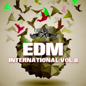 EDM International, Vol. 8