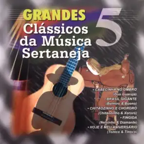 Grandes Clássicos da Música Sertaneja, Vol. 5