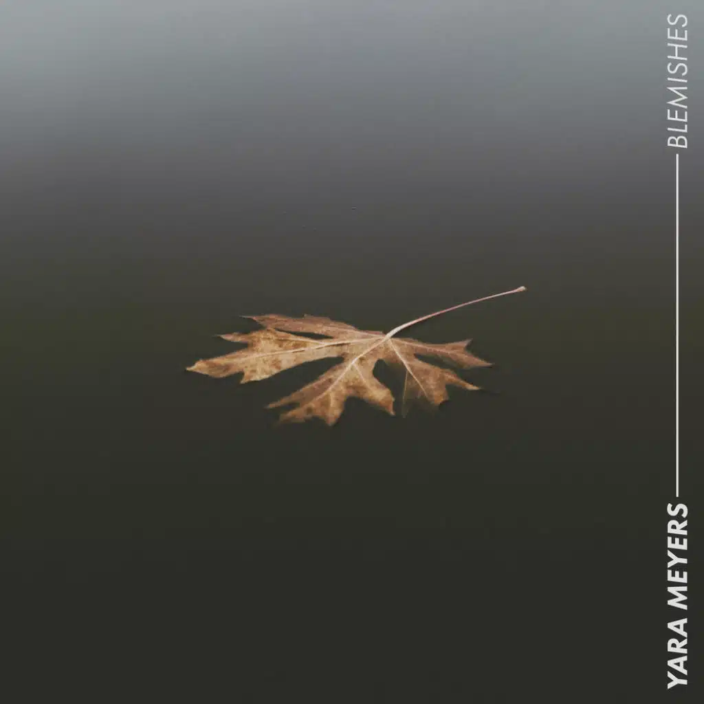 Blemishes (feat. Nathalie Hedin)