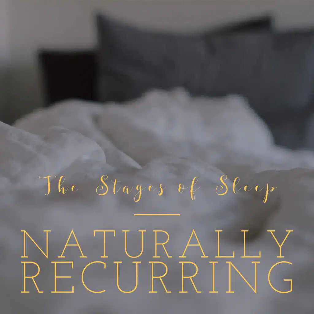The Stages Of Sleep