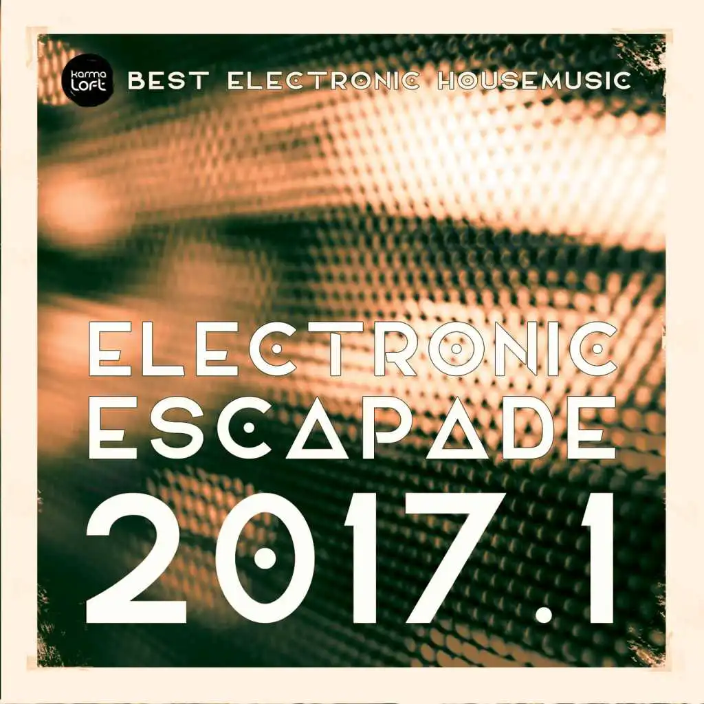 Electronic Escapade 2017.1 (Best Electronic Housemusic)