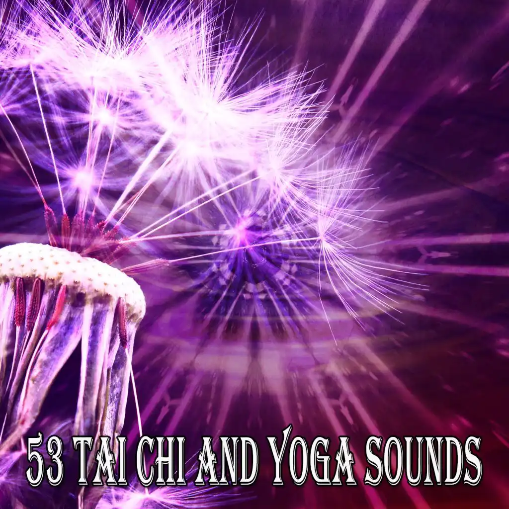 53 Tai Chi and Yoga Sounds