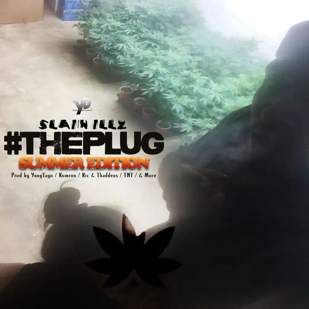 The Plug (Summer Edition)