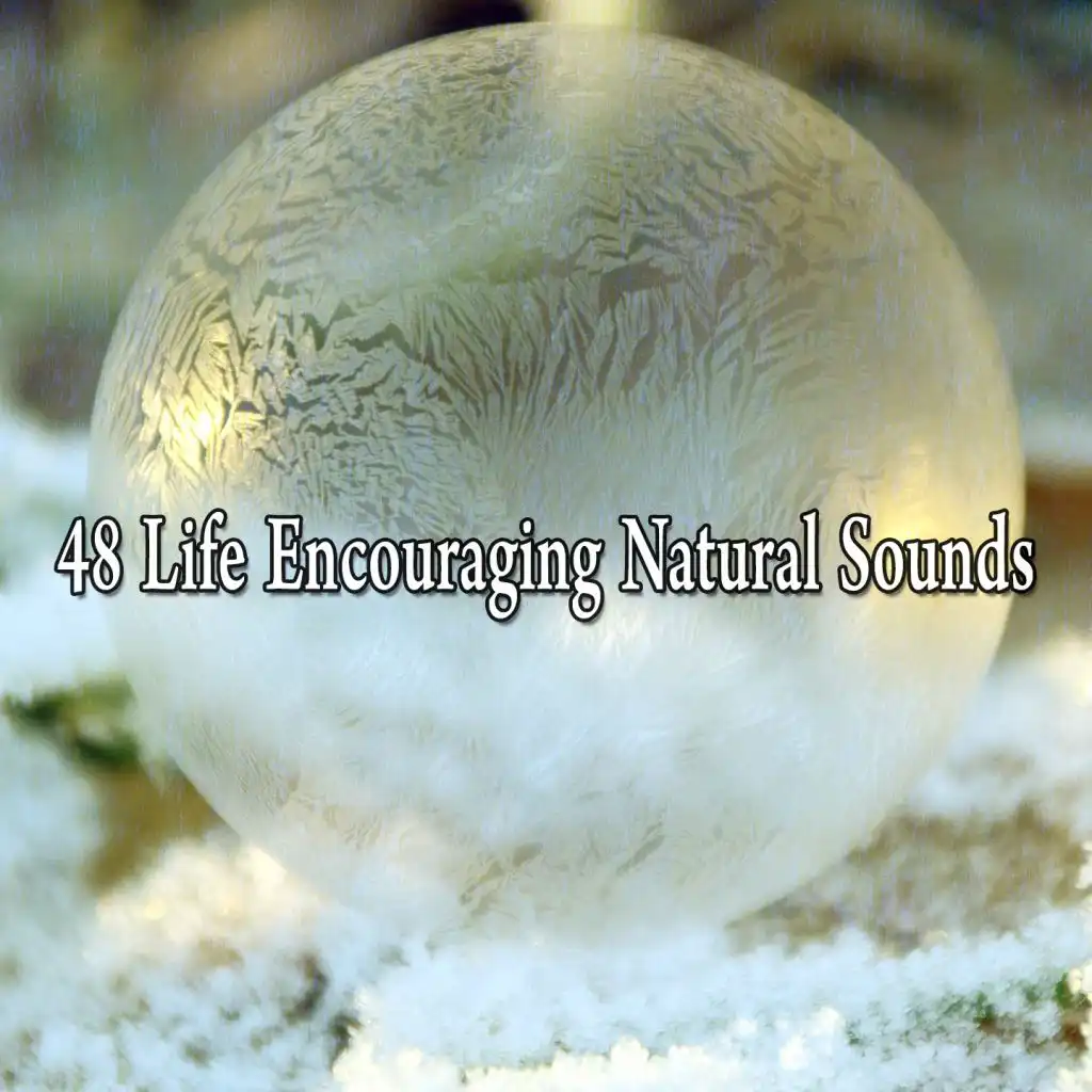 48 Life Encouraging Natural Sounds