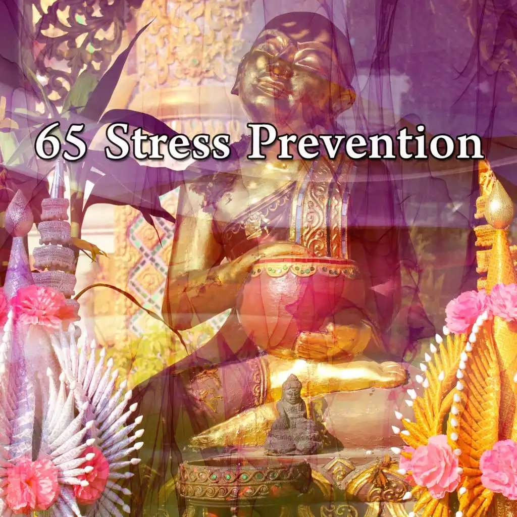 65 Stress Prevention