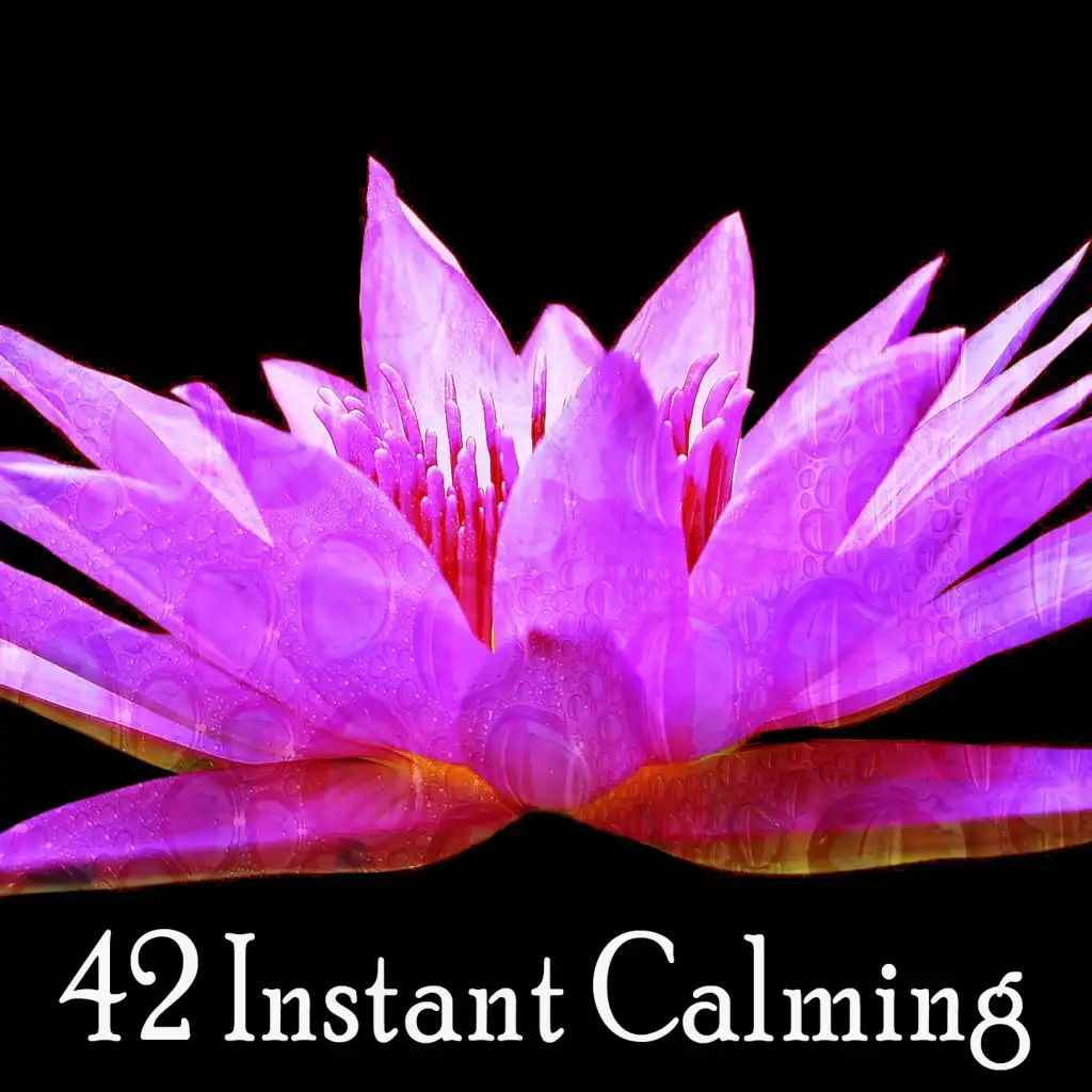 42 Instant Calming