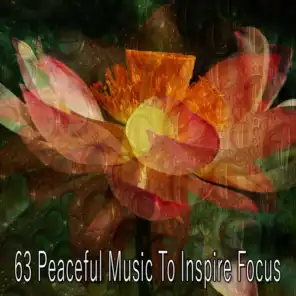 63 Peaceful Music to Inspire Focus