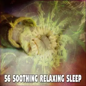 56 Soothing Relaxing Sleep