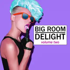 Big Room Delight, Vol. 2