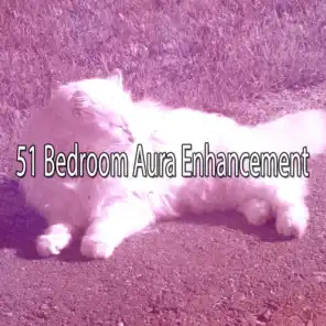 51 Bedroom Aura Enhancement