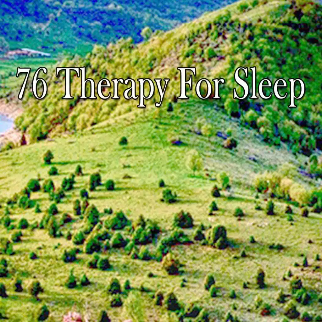 76 Therapy for Sleep