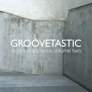 Groovetastic, Vol. 2 - Tech House Sounds