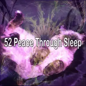 52 Peace Through Sleep