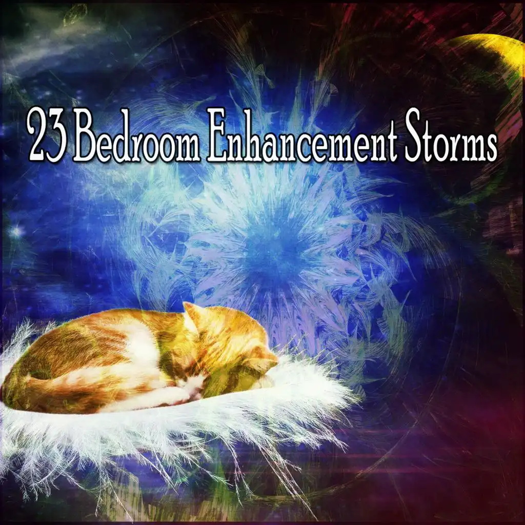 23 Bedroom Enhancement Storms