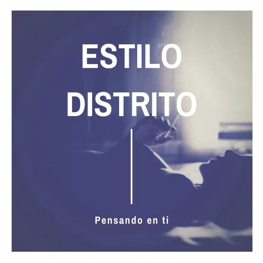 Estilo Distrito