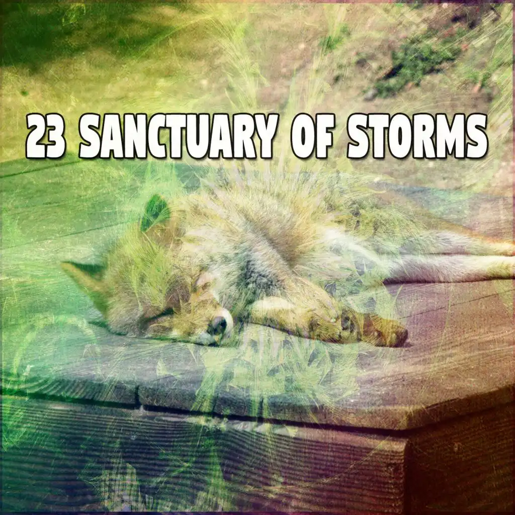 23 Sanctuary of Storms