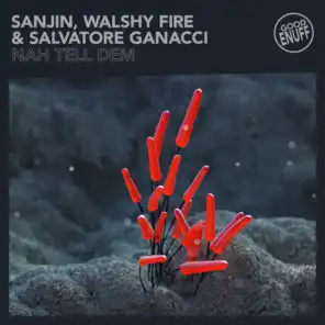 Nah Tell Dem (feat. Salvatore Ganacci)