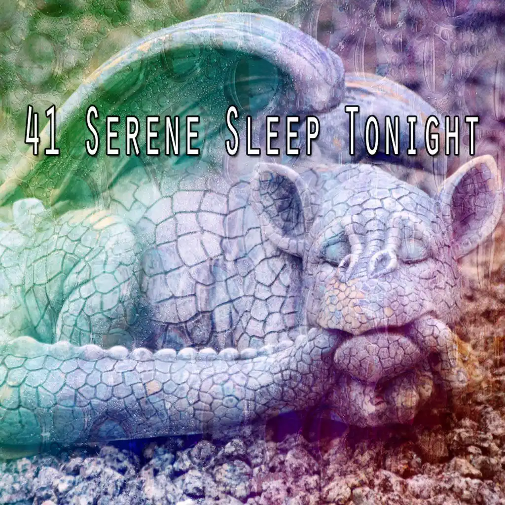 41 Serene Sleep Tonight
