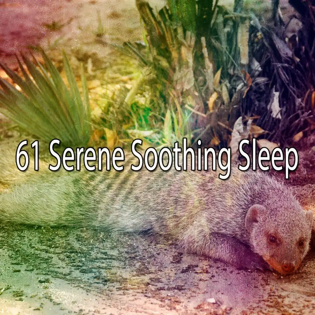 61 Serene Soothing Sleep