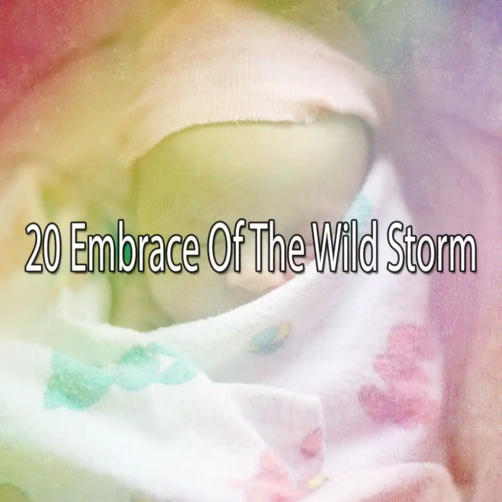 20 Embrace of the Wild Storm