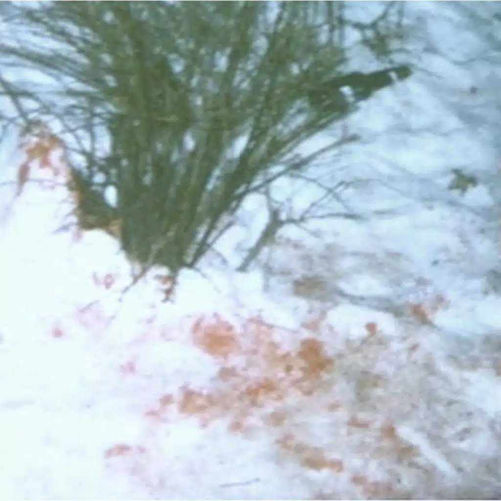 Why Are You at a Party If You're a Cop