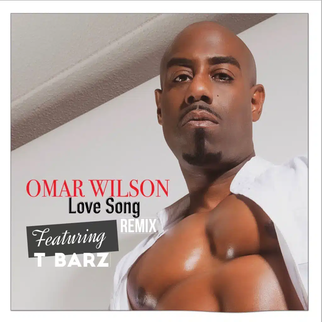 Love Song (Remix) [feat. T BARZ]