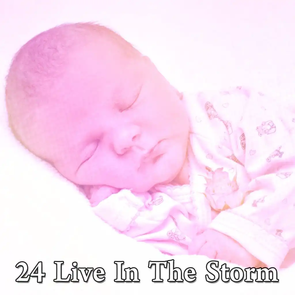 24 Live In the Storm