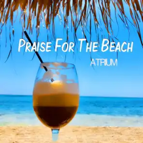 Praise for the Beach
