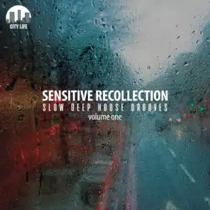 Sensitive Recollection, Vol. 1 - Slow Deep House Grooves