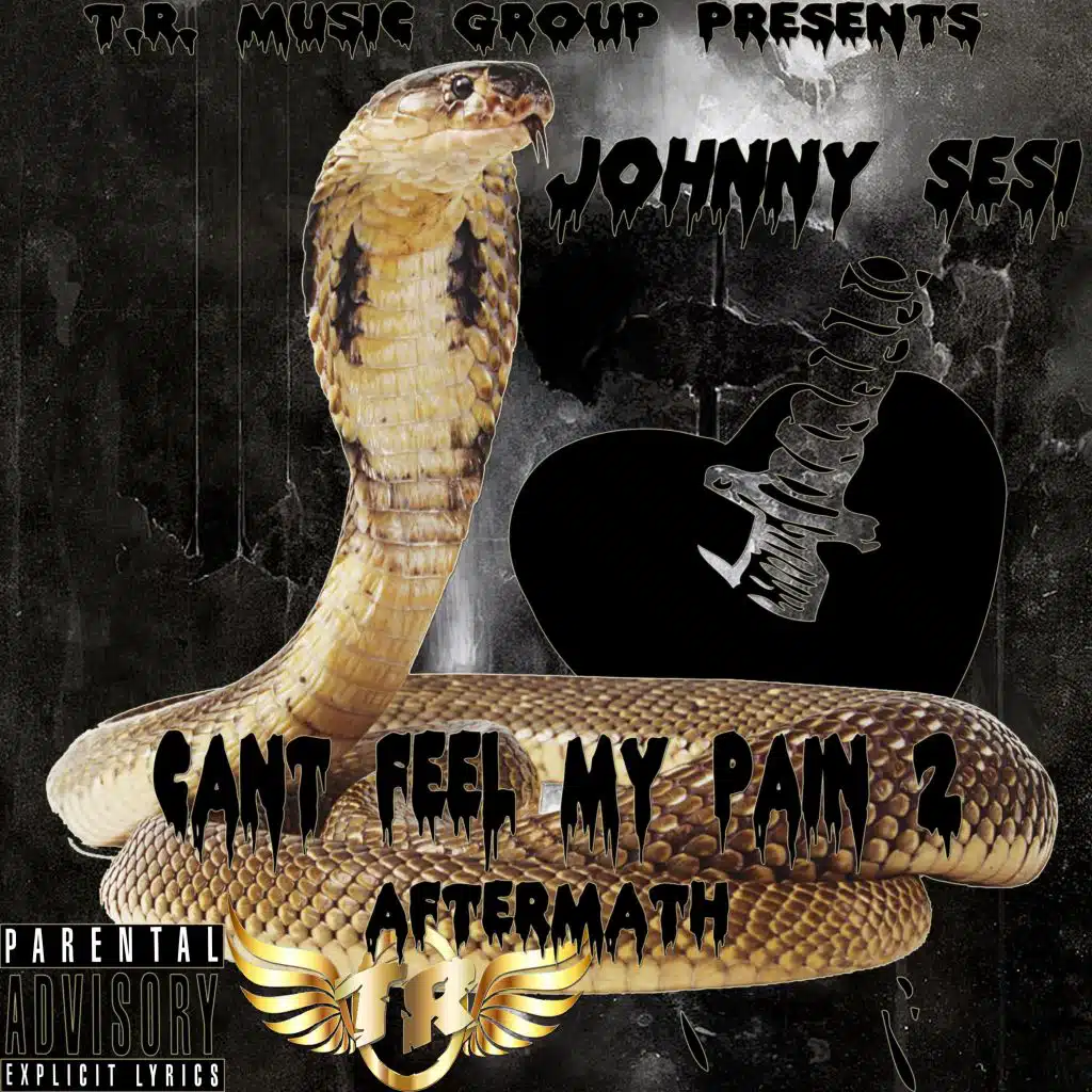 Can't Feel My Pain 2