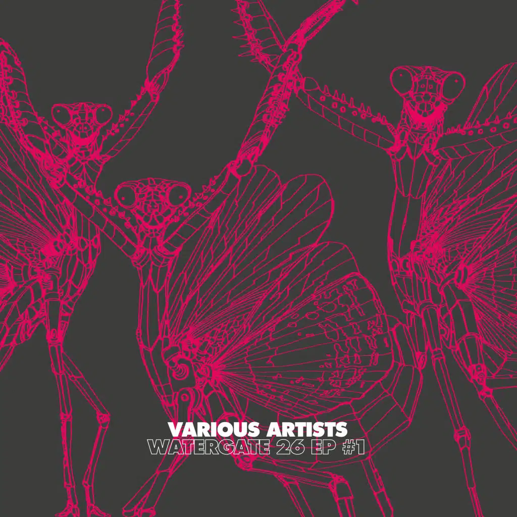 BlackBlueYellowGreen (WhoMadeWho Remix)