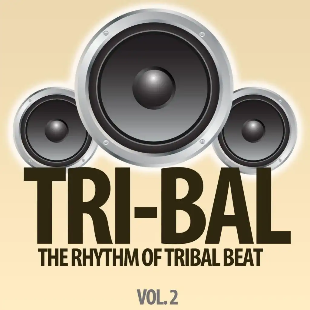 Sun Disc (Tribal Mix)