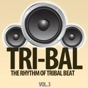 Tri-Bal, Vol. 3 (The Rhythm of Tribal Beat)