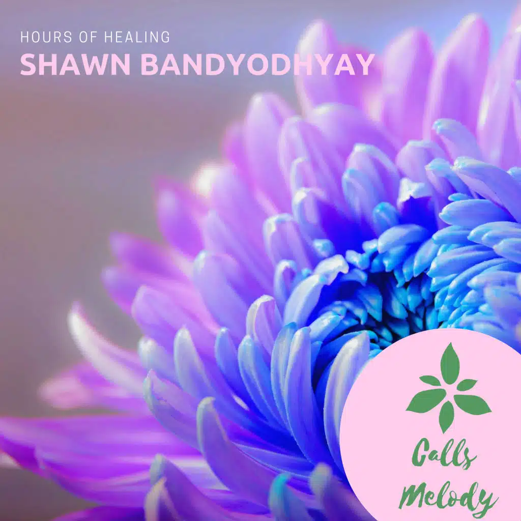 Shawn Bandyodhyay