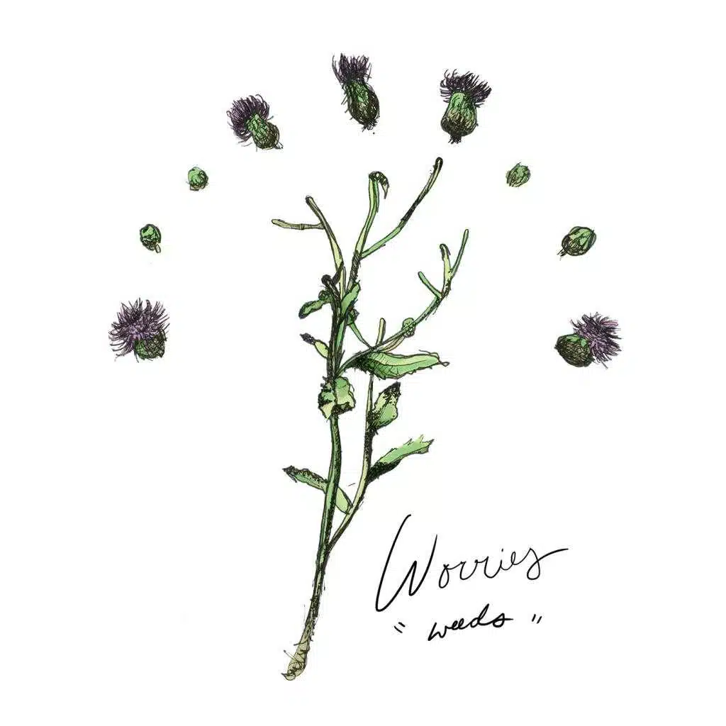 Weeds